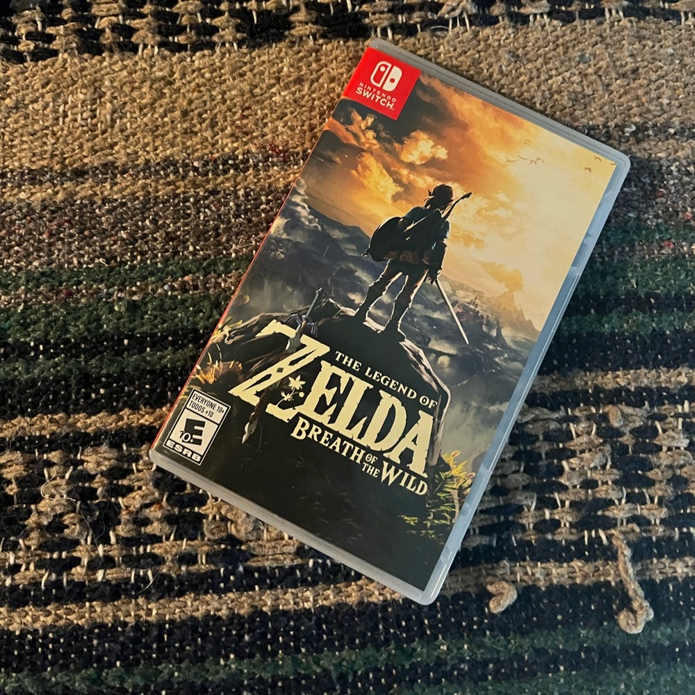 Nintendo switch game Zelda